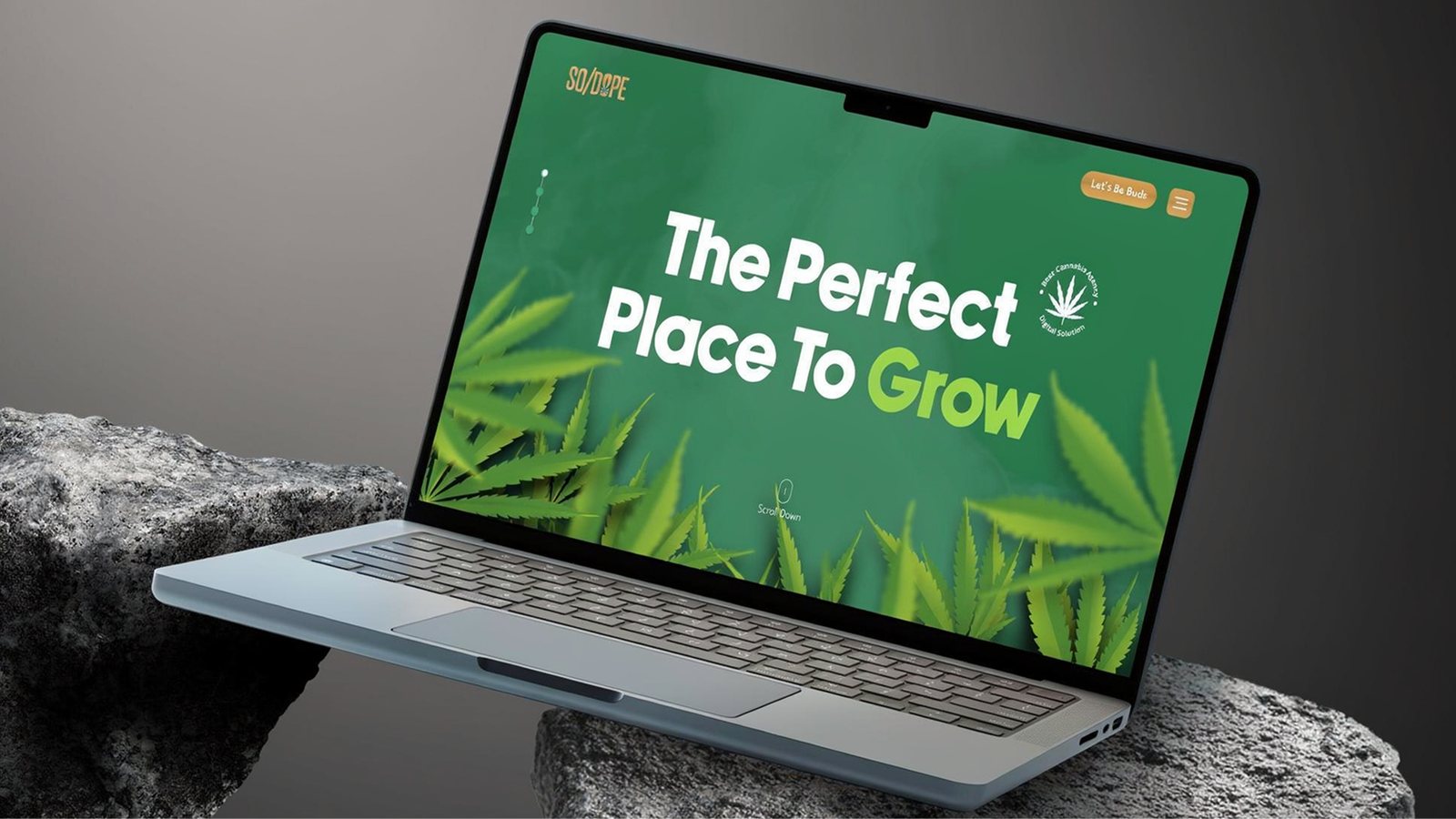 SO/DOPE cannabis marketing website design mockup displayed on a laptop